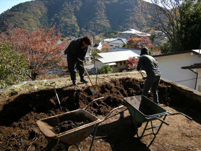 富士見市, 庭木, 立木, 伐採, カット, 草刈り, 枝落とし, 樹木, 垣根, 雑草